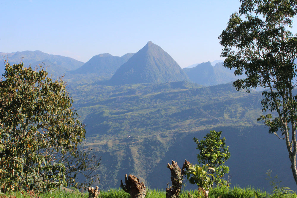 Antioquia Colombia- Finca La maria 