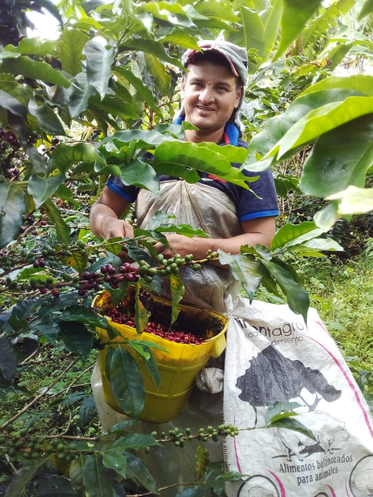 
                  
                    New Journey- Colombian Coffee
                  
                